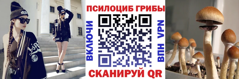 Псилоцибиновые грибы мухоморы закладки Мариинский Посад